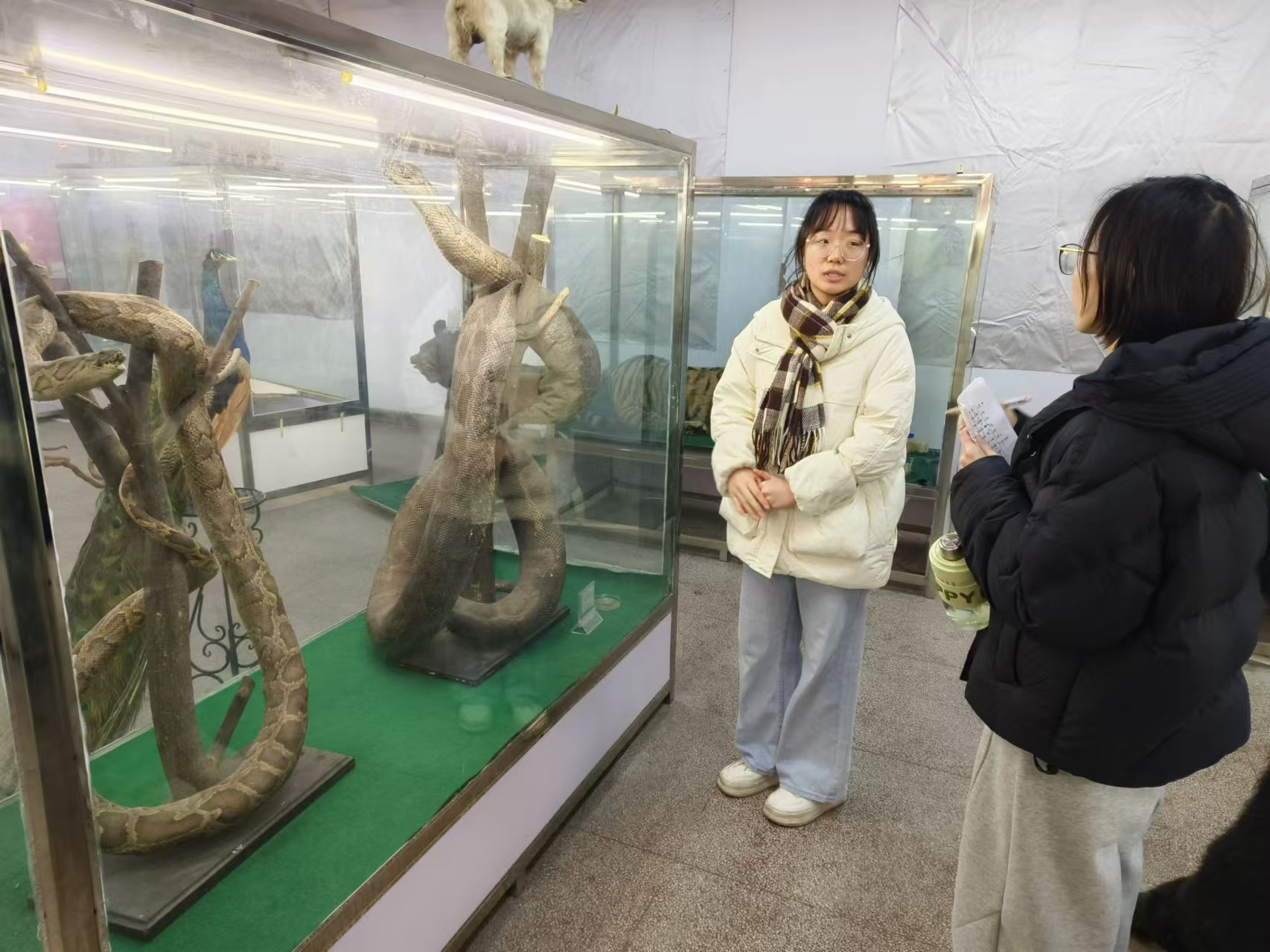 旅游与食品学院开展标本馆讲解活动