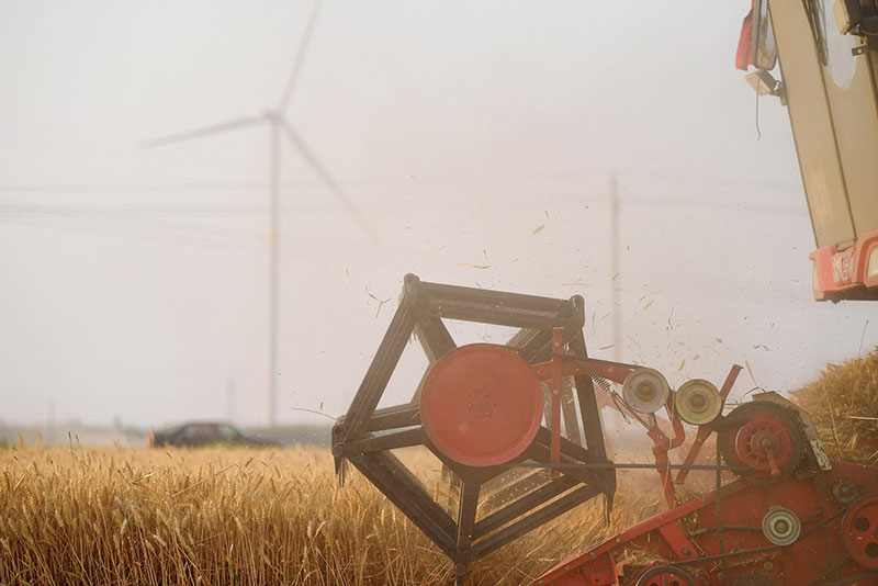 为了农业强农村美农民富——以习近平同志为核心的党中央引领推进新时代农业农村现代化事业述评 为了农业强农村美农民富——以习近平同志为核心的党中央引领推进新时代农业农村现代化事业述评