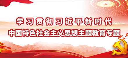 学习贯彻习近平新时代中国特色社会主义思想主题教育专题网站