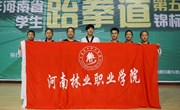我院在河南省第五届大学生跆拳道锦标赛中获佳绩