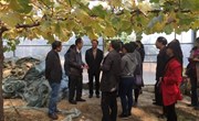 我院赴河南现代农业研究开发基地考察学习