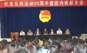 纪念五四运动95周年暨共青团表彰大会隆重召开