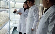 吴国新到生态系珍稀植物组培快繁工厂化育苗实训中心参观指导