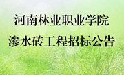 渗水砖工程招标公告