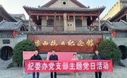 纪委办党支部赴豫西抗日根据地纪念馆开展主题党日活动