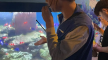 五一假期森林生态旅游与康养专业学生在龙门海洋馆实习风采