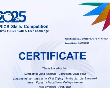 我校教师在金砖国家职业技能大赛中获奖