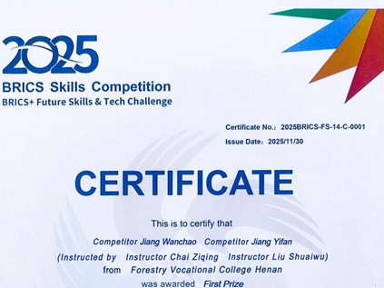 我校教师在金砖国家职业技能大赛中获奖