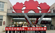 青春赋能花会 实践绽放光彩
