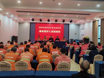 赋能基层林业建设 助力林场高质量发展