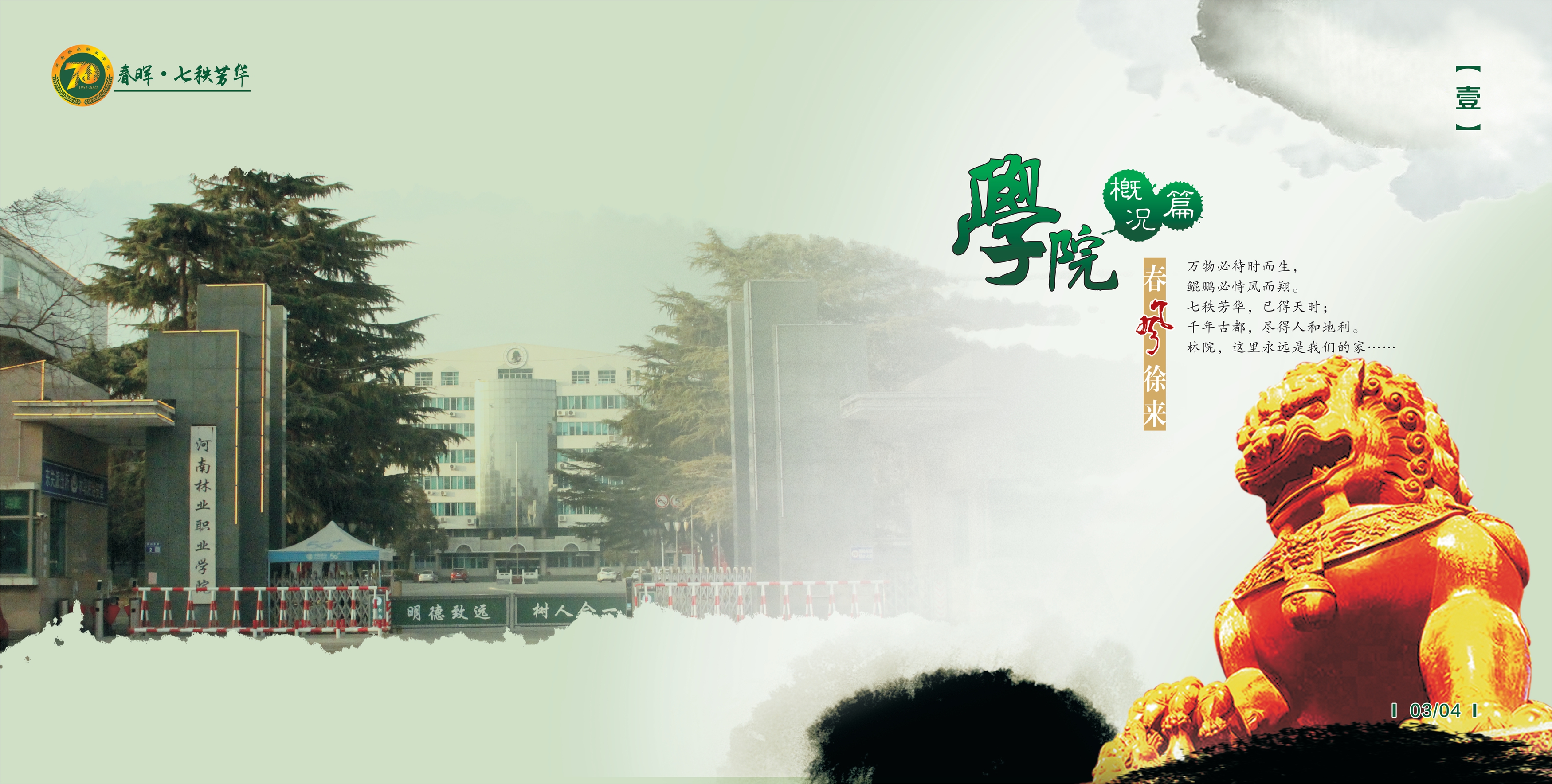 七秩芳华