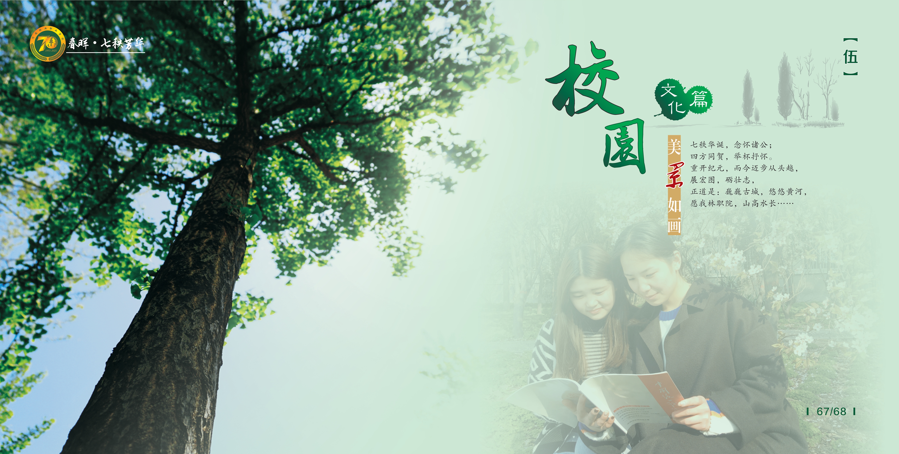 七秩芳华