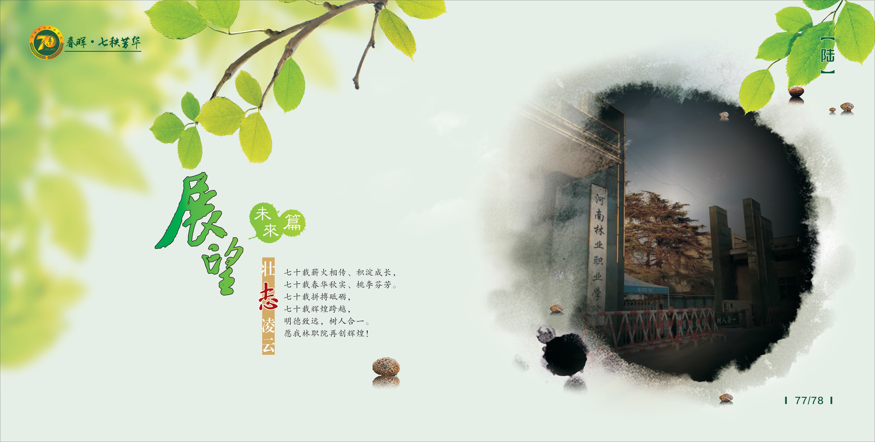 七秩芳华