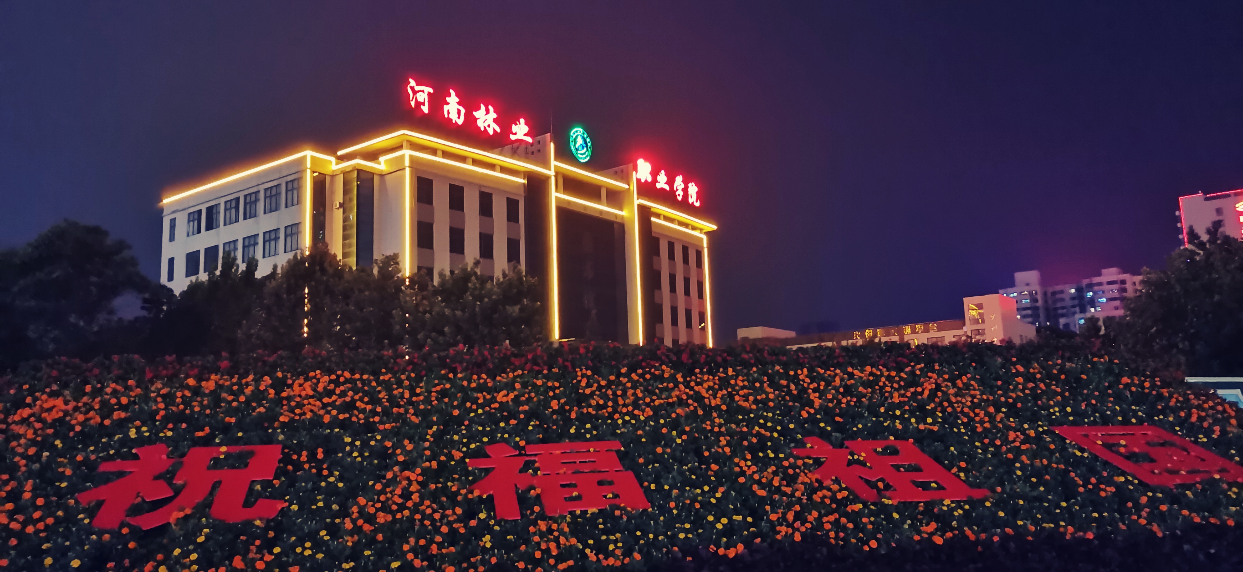 生命的力量