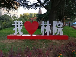 林院风光