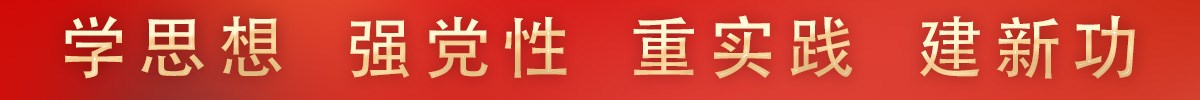扎实开展学习贯彻习近平新时代中国特色社会主义思想主题教育