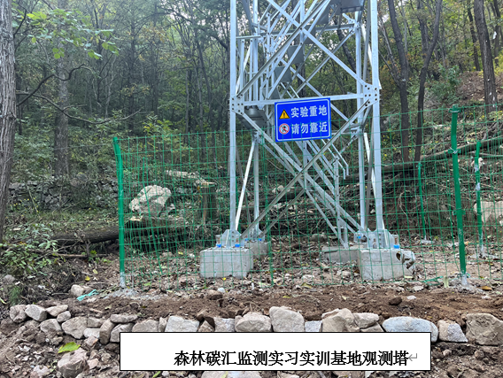 森林碳汇监测实习实训基地
